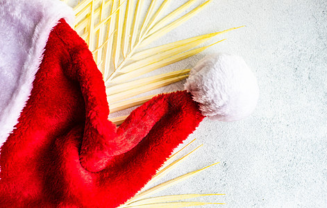 圣诞卡概念帽子热带卡片棕榈红色背景图片