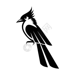 一只美丽的小鸟的白色背景上的黑色矢量图图片