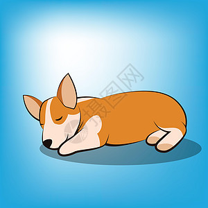 一只柯基小狗的可爱卡通矢量插图它正在睡觉图片
