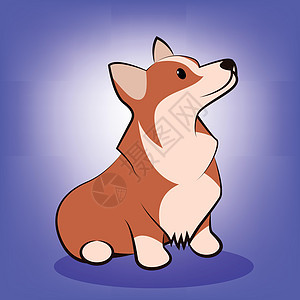 柯基狗的可爱卡通矢量插图小狗宠物警卫快乐艺术朋友橙子卡通片草图犬类图片