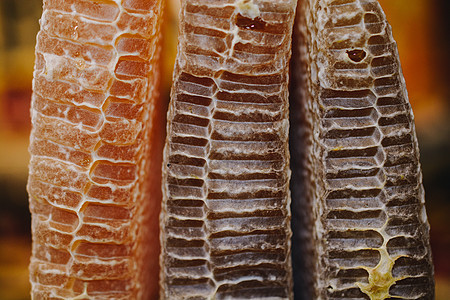 蜂窝里的蜂蜜充满蜂蜜食物草本植物甜点蜜蜂昆虫金子养分框架养蜂人美食图片