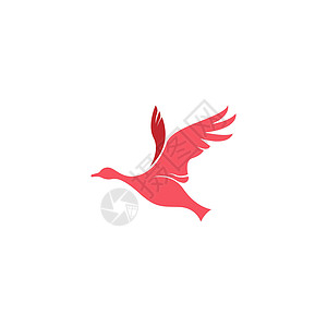鸭子图标标志设计概念模板它制作图案野生动物叶子火焰小鸭子家禽插图艺术羽毛天鹅标识图片