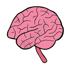 人类 brai 的卡通矢量图解情感创造力知识分子天才创新科学器官头脑知识插图图片