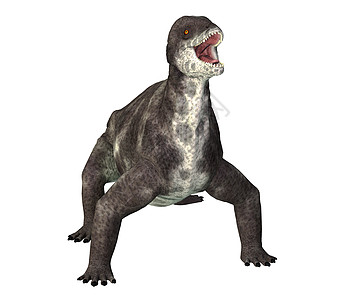 白龙恐龙生物蜥蜴孔目动物爬虫3d牙齿插图灭绝头颅图片
