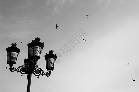 燕子飞过西班牙古老的街灯图片