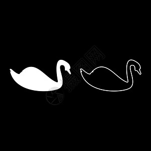 Swan 鸟类水鸟双月光 白色颜色矢量说明固体轮廓风格图像动物野生动物荒野农场动物园插图图片