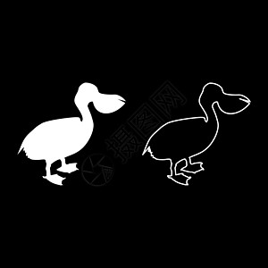 Pelican 鸟海鸟海鸟水鸟双光环白色矢量说明固体轮廓风格图像野生动物动物园羽毛插图动物学荒野动物群翅膀动物图片