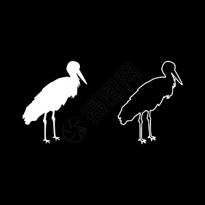 Stork Bird 站立白色颜色矢量说明 固体轮廓样式图像起重机野生动物荒野动物插图动物群苍鹭羽毛图片