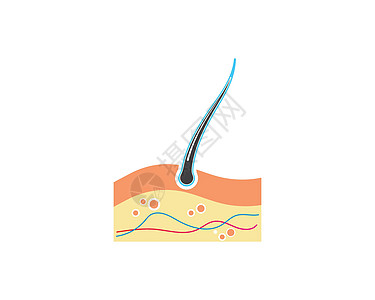 发根图标矢量图设计毛孔图表药品皮肤科生物学灯泡插图方案科学血清图片