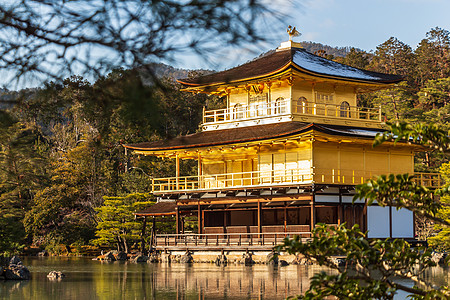 Kinkakuji寺(寺) 日本京都金馆图片