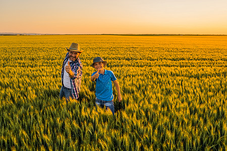 家庭农户农民享受男人场地大麦牛仔两个人自由学习田园农村图片