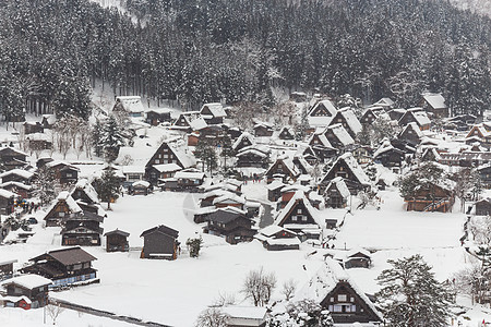 白川果村冬季降雪 日本高山Gifu的地标 日本高山世界村庄建筑文化白川风景游客季节农村旅游图片
