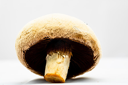 新鲜的香肠 辣椒蘑菇 特闭 隔离蔬菜细节白色美食营养团体食物宏观图片