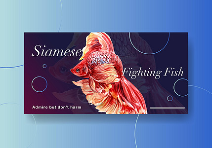Siames为社交媒体和社区水彩色矢量插图制作的 与Siames对抗鱼类概念设计作斗争的Twister模板尾巴水彩互联网行动游泳图片