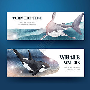 海洋生命概念设计水彩色矢量插图的横幅乐趣动物鲨鱼海马情调章鱼海蜇异国野生动物热带图片