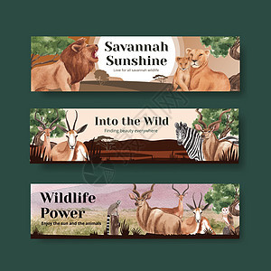 配有热带草原野生生物概念设计水彩色插图的班纳模板野生动物犀牛哺乳动物动物群野猪水彩河马广告野猫丛林图片