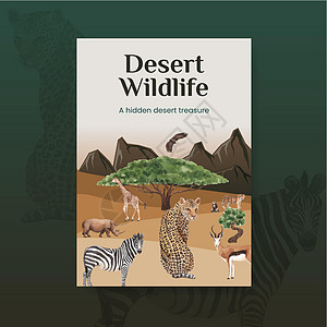 配有热带草原野生生物概念设计水彩色插图的海报模板丛林狮子斑马动物群动物大猫野猫大草原野生动物图片