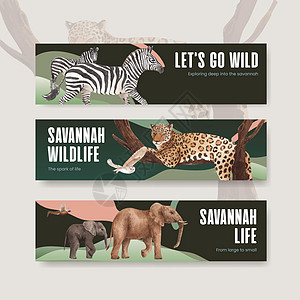 配有热带草原野生生物概念设计水彩色插图的班纳模板大猫水彩动物群狒狒野猪斑马河马野生动物猎豹哺乳动物图片
