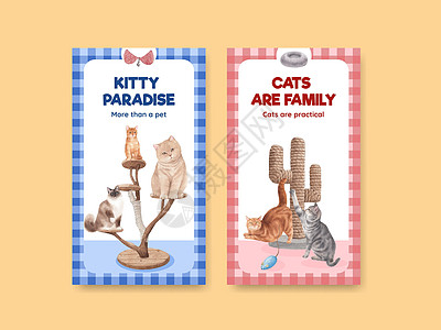 带有可爱猫咪概念水彩色插图的Instagram模板绘画水彩动物社区互联网卡通片朋友爪子哺乳动物小猫图片