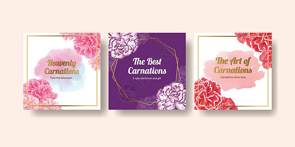 带有康乃馨花概念 水彩色风格的板条模板营销水彩花束花圈叶子插图妈妈植物母性女士图片