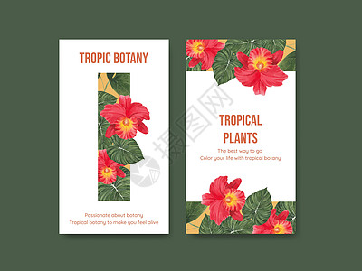 带有热带植物概念 水彩色风格的Instagram模板水彩营销社区植物群互联网叶子插图绘画花园区系图片
