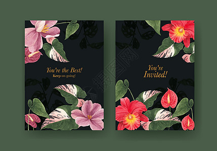 具有热带植物概念 水彩色风格的卡片模板花园叶子花瓣插图绘画植物群植物学营销水彩邀请函图片