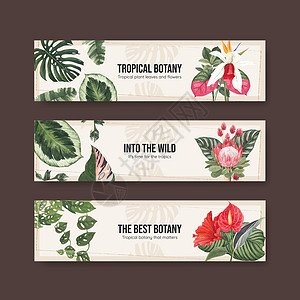 带有热带植物概念 水彩色风格的薄板模板天堂花园区系插图植物学广告水彩绘画花瓣营销图片