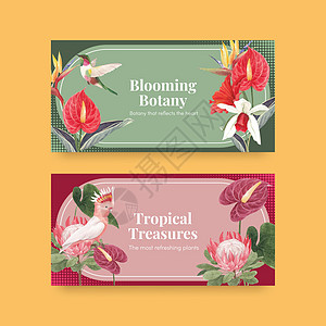 带有热带植物概念 水彩色风格的Twitter模板植物学广告天堂区系水彩花瓣插图社区社交绘画图片