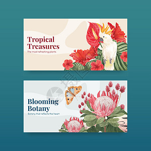 带有热带植物概念 水彩色风格的Twitter模板植物学互联网社区花瓣水彩营销叶子绘画植物群媒体图片