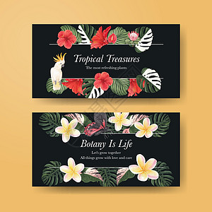 带有热带植物概念 水彩色风格的Twitter模板叶子广告绘画花瓣社区天堂营销互联网植物群媒体图片