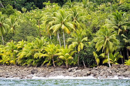 哥斯达黎加国家公园 海岸景观图片