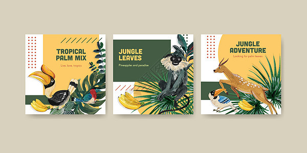 广告模板与热带当代概念设计营销水彩矢量它制作图案动物插图情调叶子森林丛林异国植物装饰品背景图片