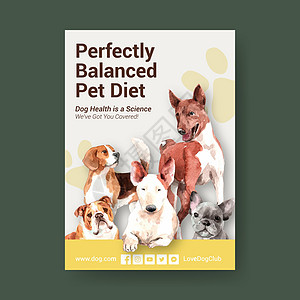 海报模板与狗和食品设计广告和营销水彩它制作图案猎犬犬类手绘小狗动物食物打印插图小吃宠物图片
