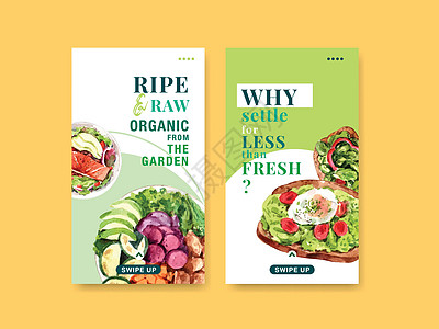 用于社交媒体 在线社区和互联网水彩矢量插图的健康和有机食品设计的 Instagram 模板生态营养网站食物水果广告手绘沙拉饮食蔬图片