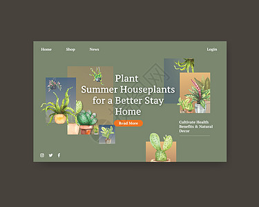 带有夏季植物设计的 Facebook 模板 用于社交媒体 互联网 网络 在线社区和广告水彩插画插图手绘绘画叶子园艺花园花盆面子书图片