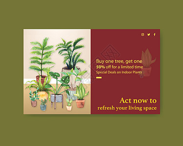 带有夏季植物设计的 Facebook 模板 用于社交媒体 互联网 网络 在线社区和广告水彩插画插图面子书绘画花园手绘花盆园艺叶子图片
