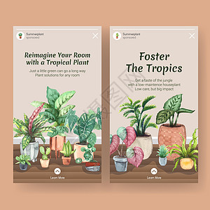 Instagram 模板设计 包括夏季植物和室内植物 适用于社交媒体 在线社区 互联网和广告水彩插图金色叶子肉质花园花盆双色箭头图片
