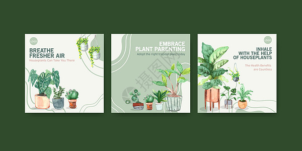夏季植物和室内植物宣传传单 小册子和小册子水彩图案的模板设计绿色双色肉质箭头插图园艺手绘花园叶子文档图片