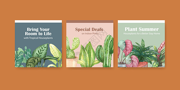 夏季植物和室内植物宣传传单 小册子和小册子水彩图案的模板设计双色花盆手绘园艺花园文档金色贝母绿萝叶子图片