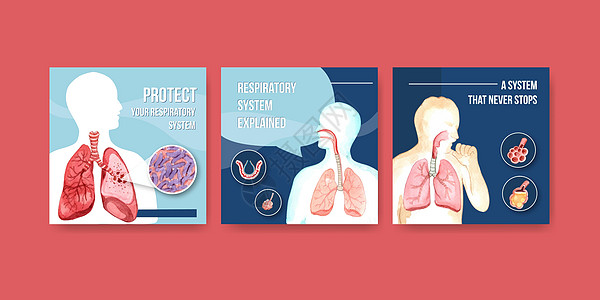 带有肺和呼吸器人体解剖学的模板设计广告生物学科学疾病卫生器官医院保健药品胸部身体图片