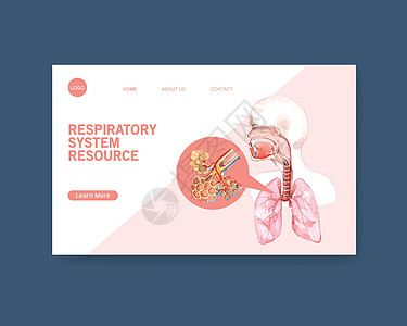 人体解剖学网站模板呼吸系统设计水彩互联网药品呼吸器官健康卫生医疗生物学绘画图片