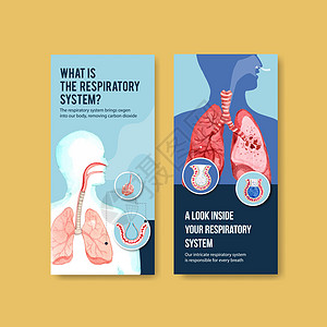 呼吸传单设计与肺和健康汽车的人体解剖学文档身体疾病保健插图广告生理卫生小册子生物学图片
