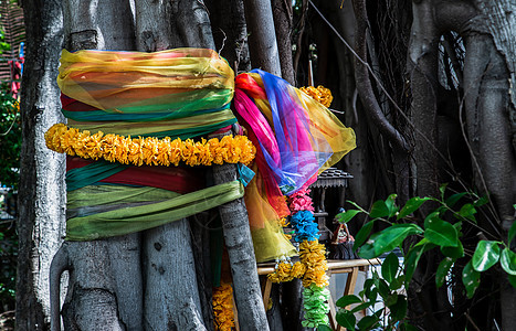 万寿菊花环和织物颜色五颜六色的树缠绕在树上的五颜六色的布是泰国村民的信仰文化叶子蓝色丝带树木宗教艺术领带上帝幸福图片
