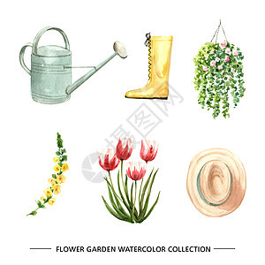 白色背景上的花园设计元素水彩插图集图片