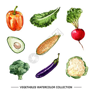 白色背景上的创意孤立水彩蔬菜插图图片
