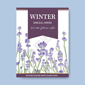 冬季绽放海报设计与薰衣草水彩插图图片