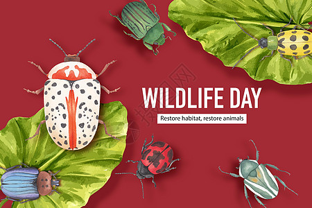 昆虫和鸟类框架设计与甲虫叶水彩插图图片