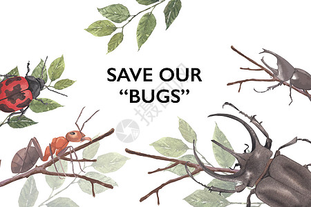昆虫和鸟类框架设计与水彩插图瓢虫野生动物绘画手绘树叶蚂蚁创造力王朝染色图片
