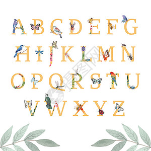 昆虫和鸟类字母表设计与蝴蝶甲虫鸟水彩插图图片
