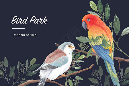 昆虫和鸟类框架设计与水彩插图鹦鹉创造力手绘雀科太阳锥野生动物染色绘画树叶图片